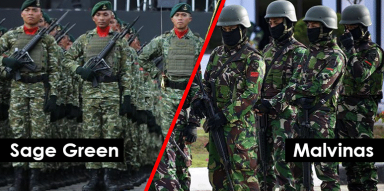 HUT TNI 80